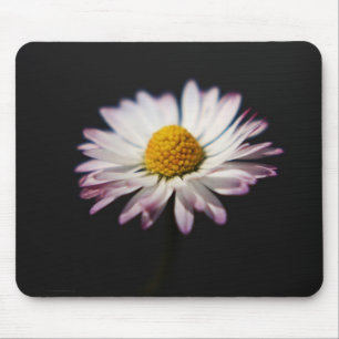 Common Daisy mpcnm Mouse Pad