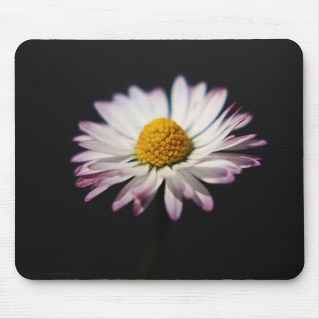 Common Daisy mpcnm Mouse Pad (Front)