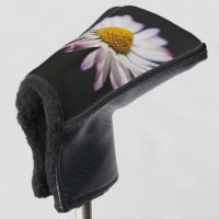 Common Daisy pccnm