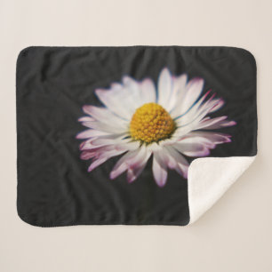 Common Daisy sbcna Sherpa Blanket