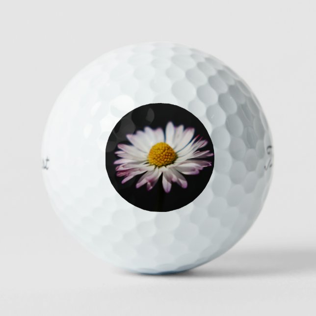Common Daisy tpv1 gbcna Golf Balls (Front)