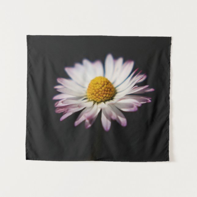 Common Daisy wtcna Tapestry (Front (Horizontal))