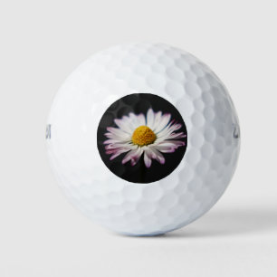 Common Daisy wu gbcnm Golf Balls