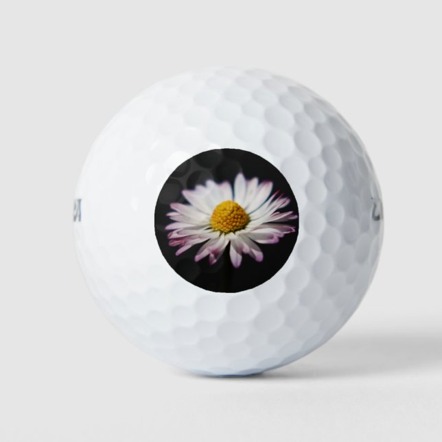 Common Daisy wu gbcnm Golf Balls (Front)