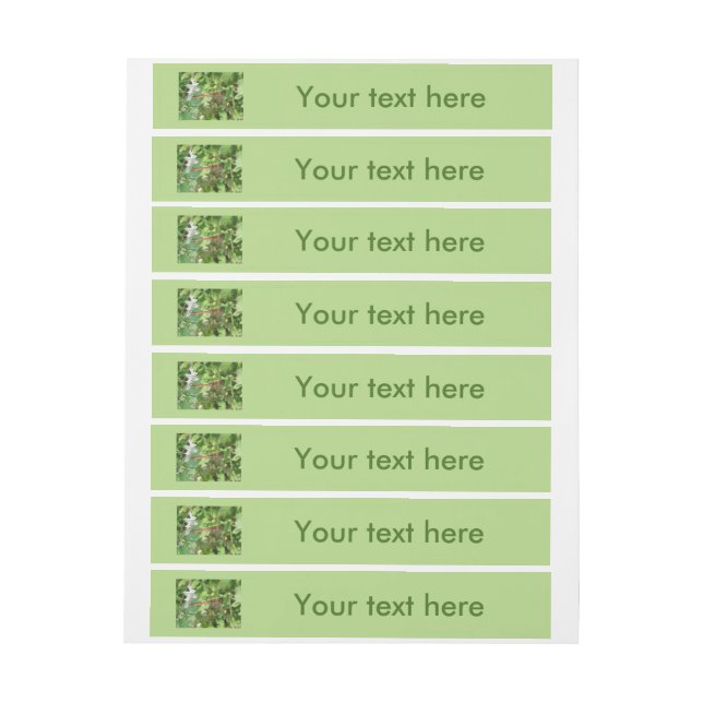 Common Darter Dragonfly Customisable Labels (Sheet)