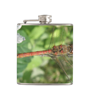 Common Darter Dragonfly Flask
