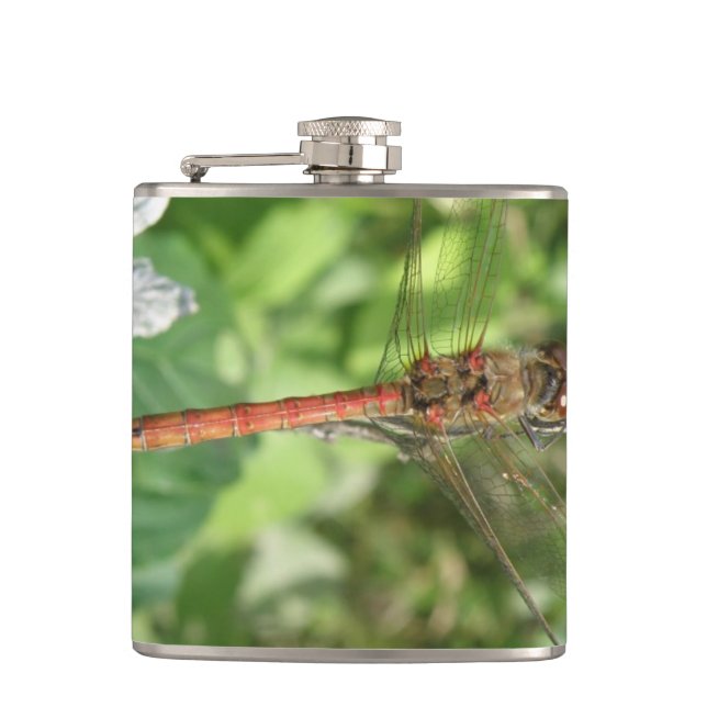 Common Darter Dragonfly Flask (Front)