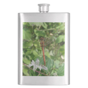 Common Darter Dragonfly Flask