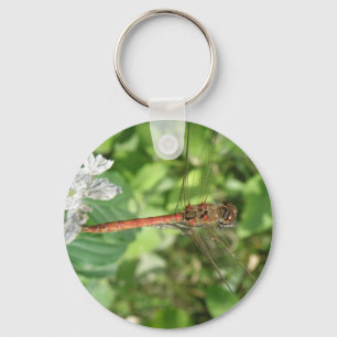 Common Darter Dragonfly Keychain