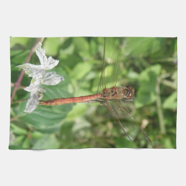 Common Darter Dragonfly Kitchen Towel (Horizontal)