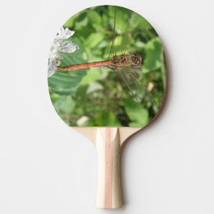 Common Darter Dragonfly Ping Pong Paddle