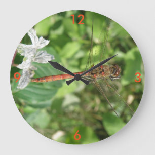 Common Darter Dragonfly Wall Clock