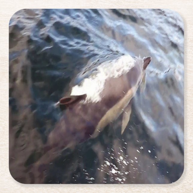 Common Dolphin Breaching Surface Ocean Movement  Square Paper Coaster (Front)
