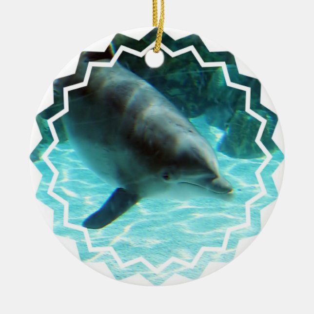 Common Dolphin Ornament (Front)