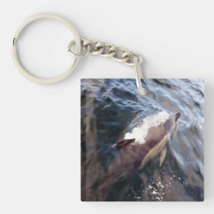 Common Dolphin Surfacing Key Ring