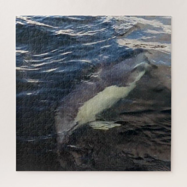 Common Dolphin Swimming Jigsaw Puzzle (Vertical)