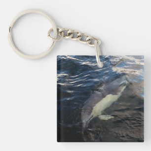 Common Dolphin Swimming  Key Ring