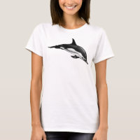 COMMON DOLPHIN