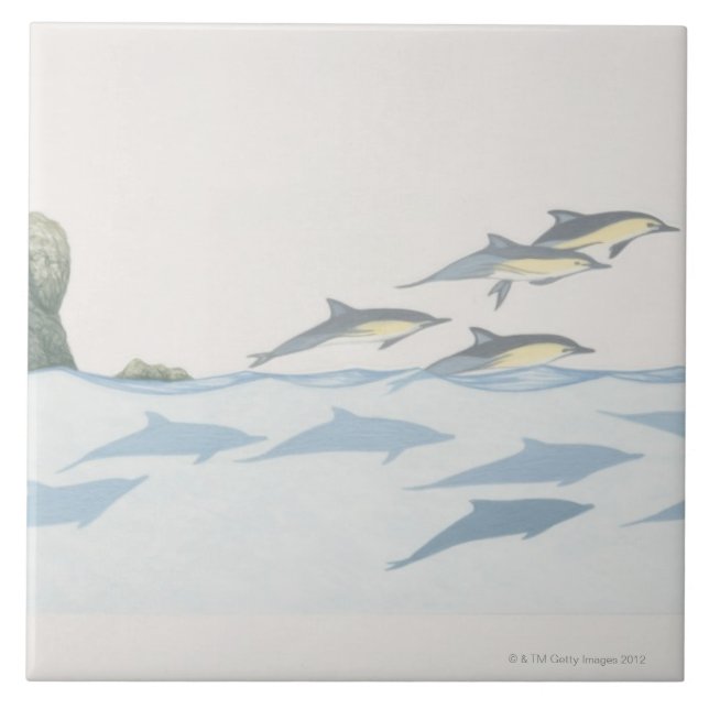 Common Dolphins Ceramic Tile (Front)