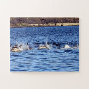 Common Dolphins Porpoising Jigsaw Puzzle