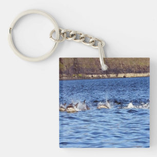 Common Dolphins Porpoising  Key Ring