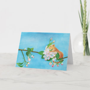 Common Dormouse on blooming branch of apple tree  Card
