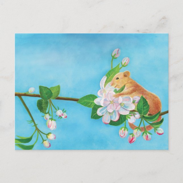 Common Dormouse on blooming branch of apple tree  Postcard (Front)