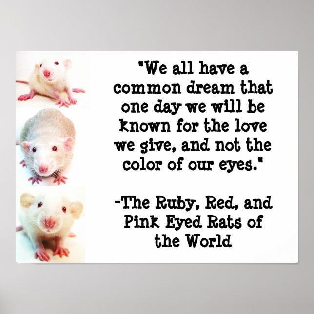 Common Dream Poster (Front)