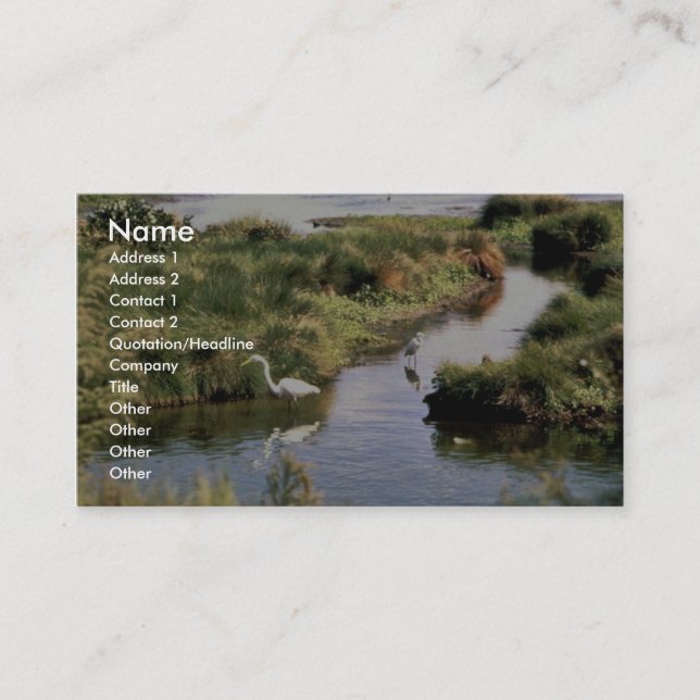 Common Egret Business Card (Front)