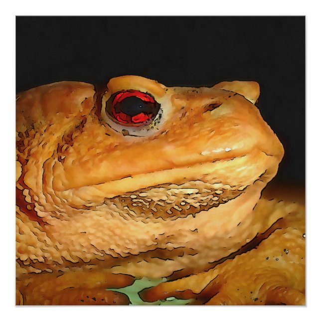 Common European Toad Bufo Bufo Black Outline Art Poster (Front)
