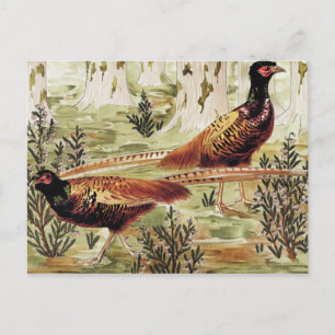 Common Faisans by Maurice Pillard Verneuil Postcard