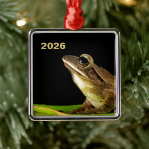 Common Frog on a Leaf Metal Ornament