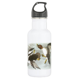 Common Goldeneye by Audubon 532 Ml Water Bottle