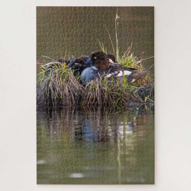 Common Goldeneye ducks Jigsaw Puzzle (Vertical)
