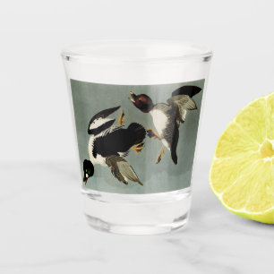 Common goldeneye sea duck shot glass