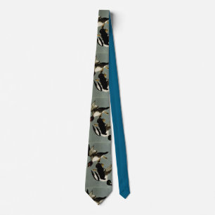Common goldeneye sea duck tie
