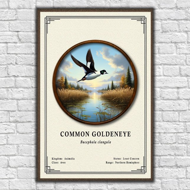 Common Goldeneye Zoology Series Poster (Creator Uploaded)