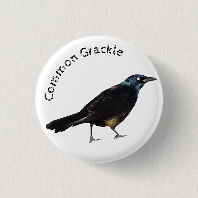 Common Grackle 3 Cm Round Badge (Front)