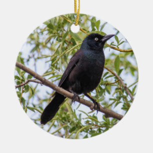 Common Grackle Ceramic Tree Decoration