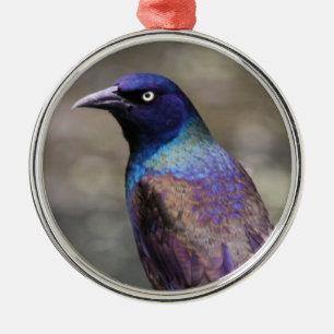 Common Grackle Metal Tree Decoration