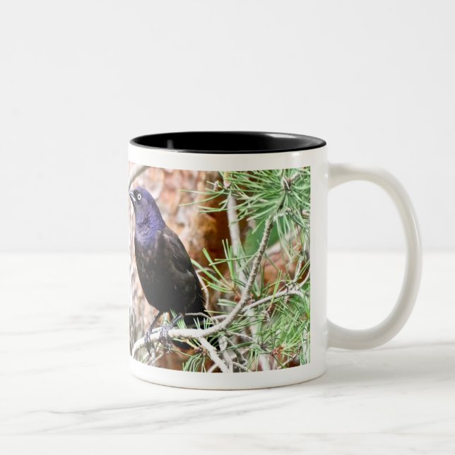 Common Grackle Mug (Right)