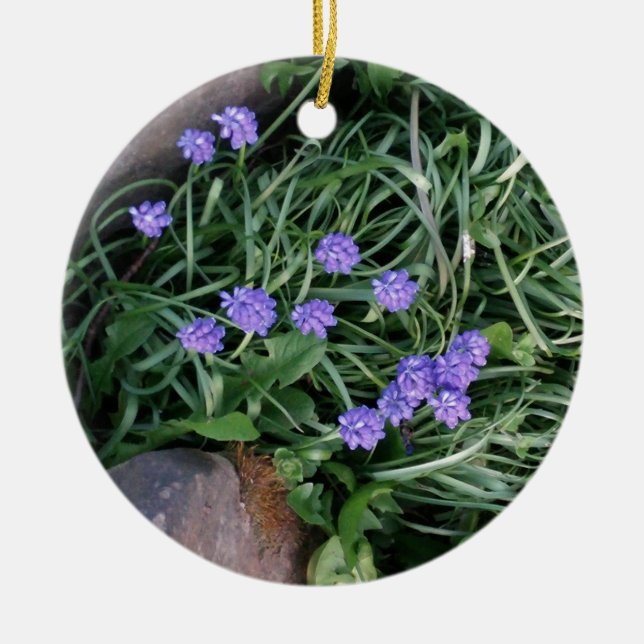 common grape hyacinth,  blue purple flower,floral ceramic ornament (Front)