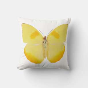 Common Grass Yellow Butterfly Cushion