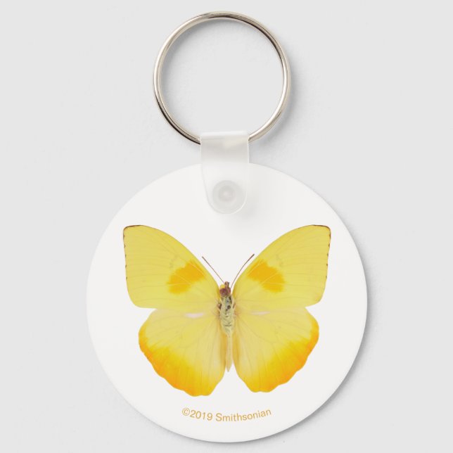 Common Grass Yellow Butterfly Key Ring (Front)