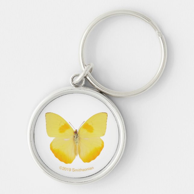 Common Grass Yellow Butterfly Key Ring (Front)