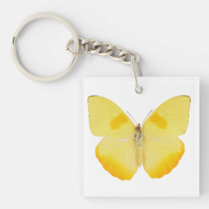 Common Grass Yellow Butterfly Key Ring