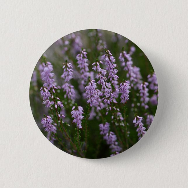 Common Heather (Calluna vulgaris) 6 Cm Round Badge (Front)