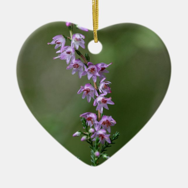 Common Heather (Calluna vulgaris) Ceramic Tree Decoration (Front)