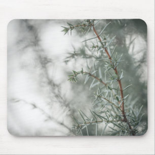 Common Juniper Nature Photograph Mouse Pad