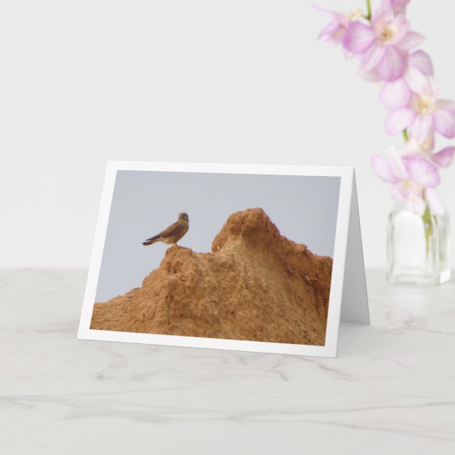 Common Kestrel Bird, Falco Tinnunculus  Card (Orchid)